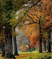Hagley Park Christchurch New Zealand